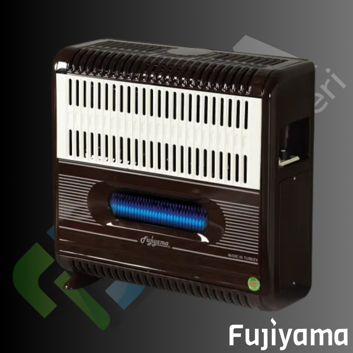 FHS 11000