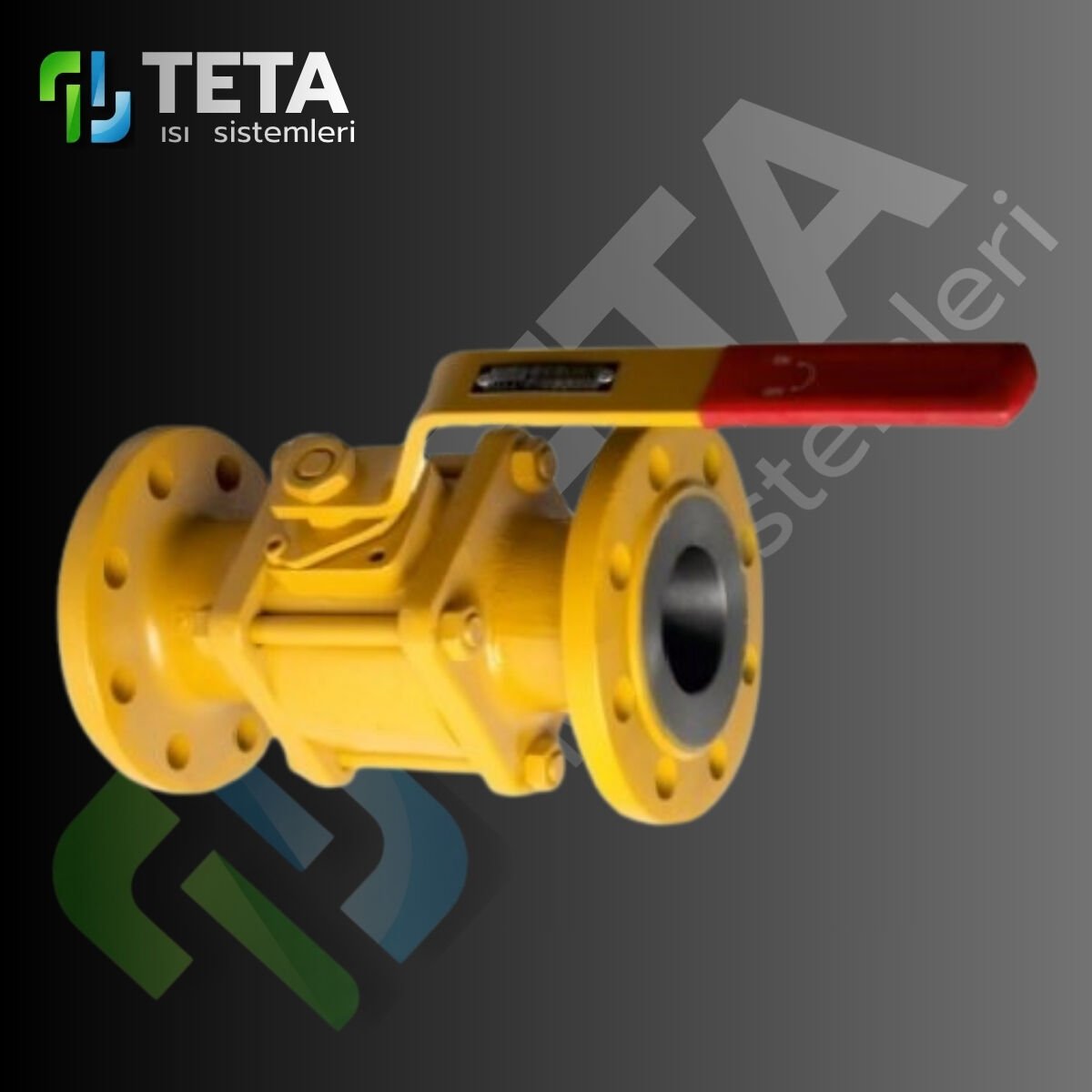 2'' Flanşlı Doğalgaz Vanası PİG DN50 (4 DELİKLİ)
