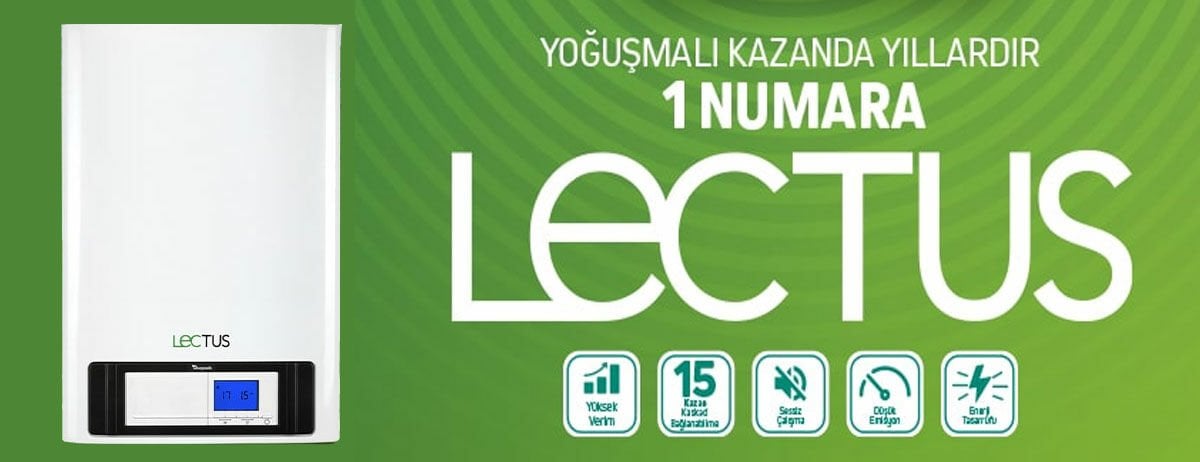 baymak lectus